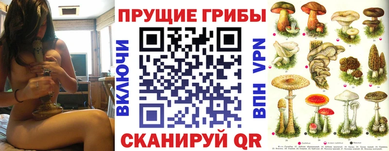 Галлюциногенные грибы GOLDEN TEACHER  ссылка на мегу ссылка  Химки 